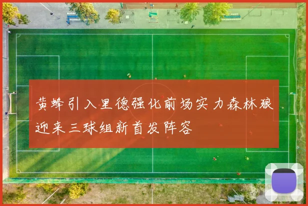 黄蜂引入里德强化前场实力森林狼迎来三球组新首发阵容